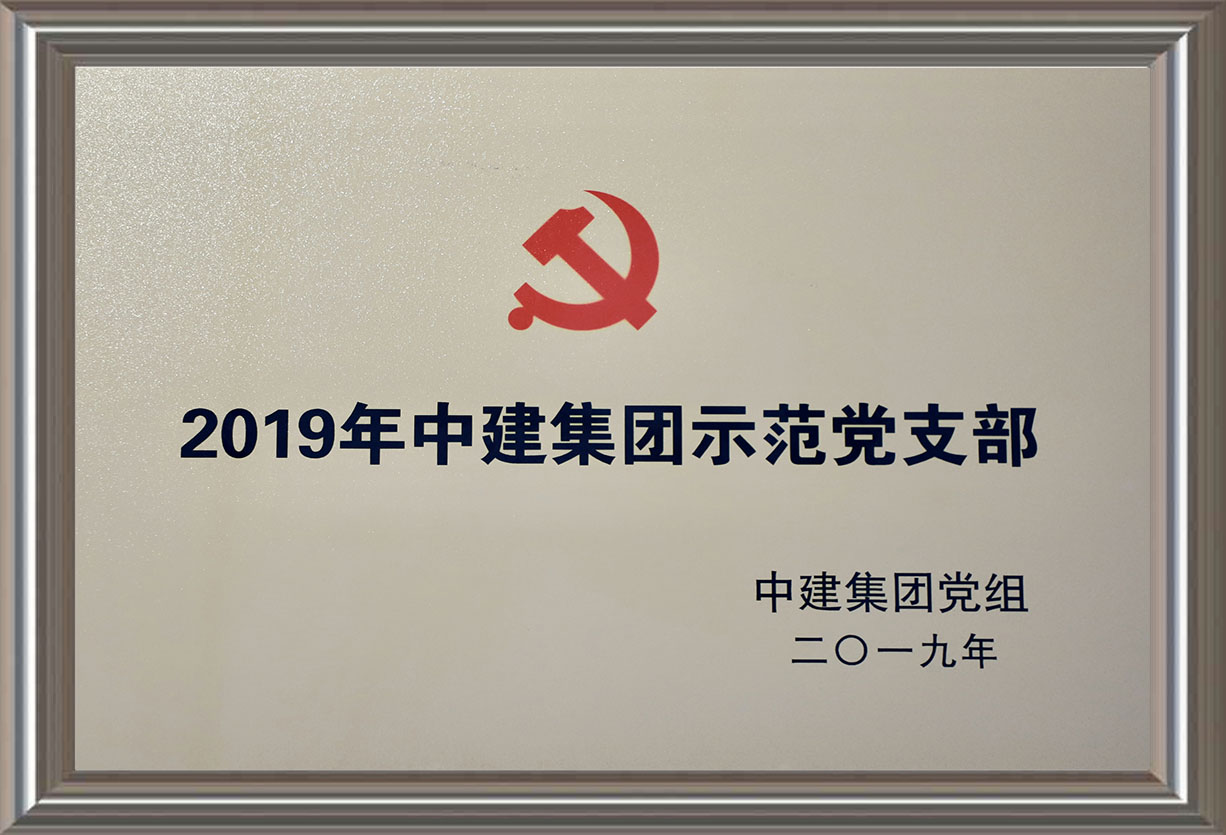 2019年中建集团示范党支部