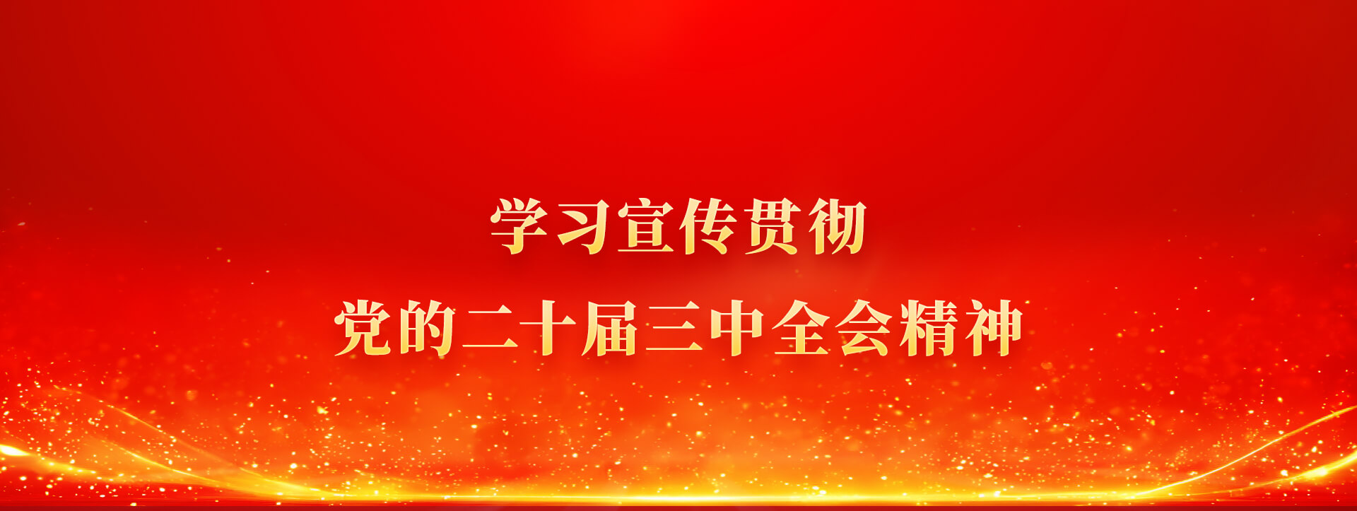 党的二十届三中全会精神